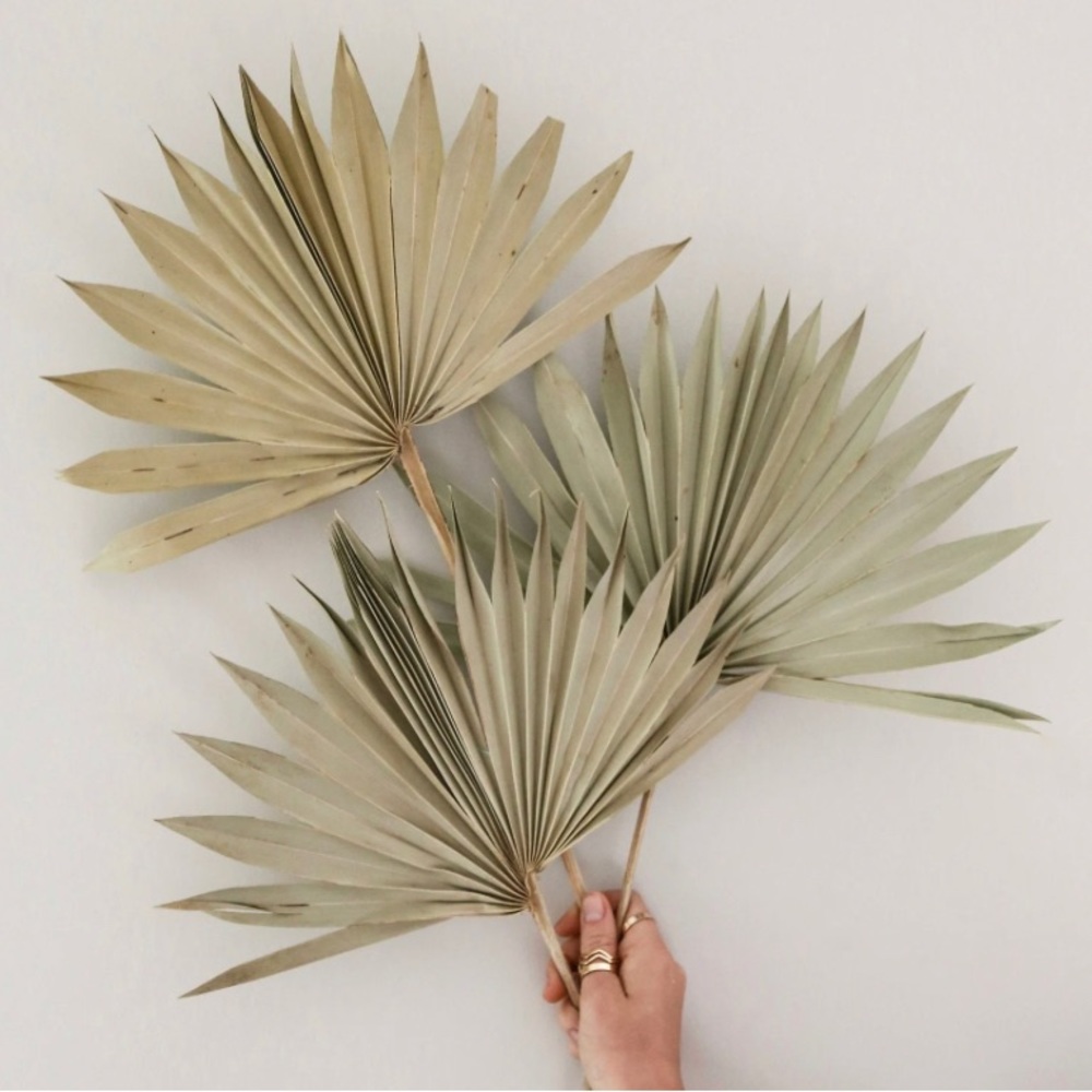 3 Dried Palm Leaves - Palm Fan Dried Flower